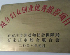 城鄉(xiāng)婦女創(chuàng)業(yè)優(yōu)秀推薦項(xiàng)目