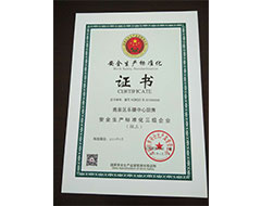 安全生產(chǎn)標(biāo)準(zhǔn)化三級(jí)企業(yè)
